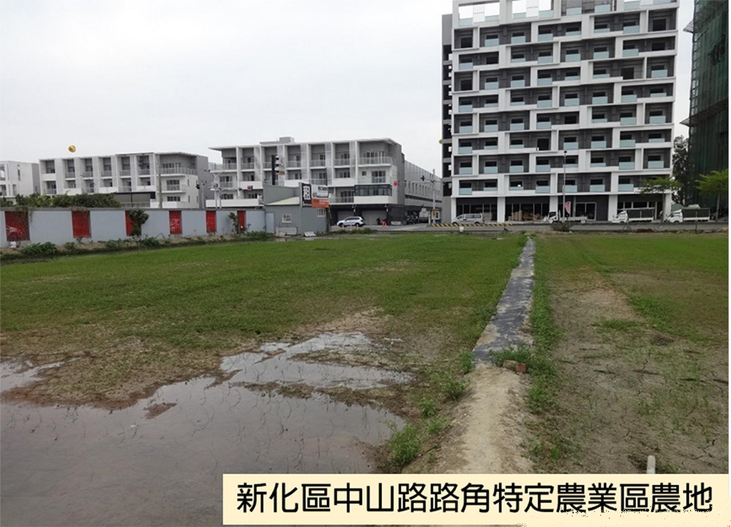 台南第2批地籍清理標售 新化農地每分逾1100萬標出